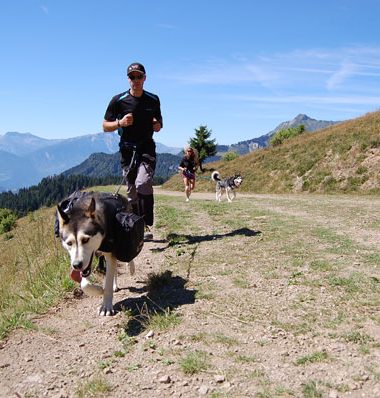 Ik ga wandelen met mijn hond