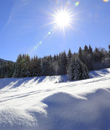Alle winteractiviteiten in Haut-Giffre