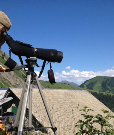 Wandelen met een gids