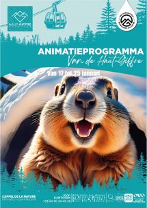 De evenementenkalender van 17 tot en met 25 januari 2026 26