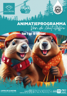 Evenementenkalender van 7 tot 13 februari