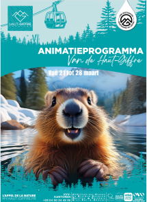 Evenementenkalender van 21 tot 28 maart Nl