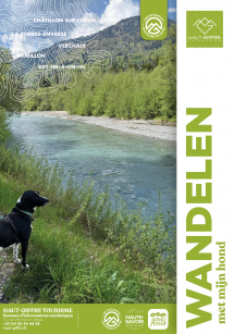 Wandelen met mijn hond