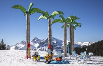 Oasis Zone: boadercross , slalom en video zone