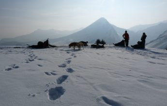 Hondensleeën met het gezin in Sommand