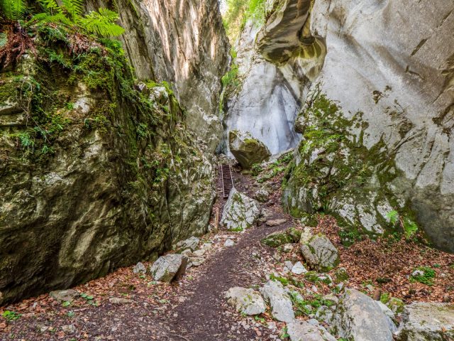 Wandelroute: rando’bus Les Gorges des Tines