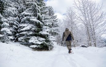 Sneeuwschoenroute : Refuge de Golèse (gemarkeerde route “sneeuwschoenmarkeringen + gekleurde markeringen”)