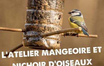 L’Atelier Mangeoire à oiseaux