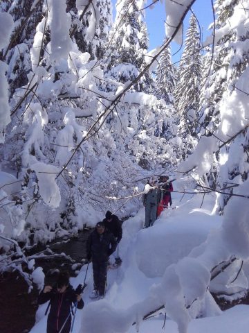 Sneeuwschoenwandelen en picknicken met de gemzen_Taninges