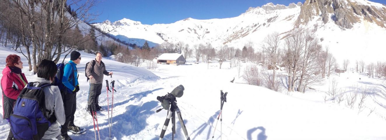 Sneeuwschoenwandelen en picknicken met de gemzen_Taninges