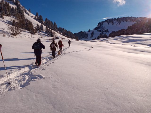 Dagje sneeuwschoenwandelen met Zwitserse fondue in een privéchalet_Morillon