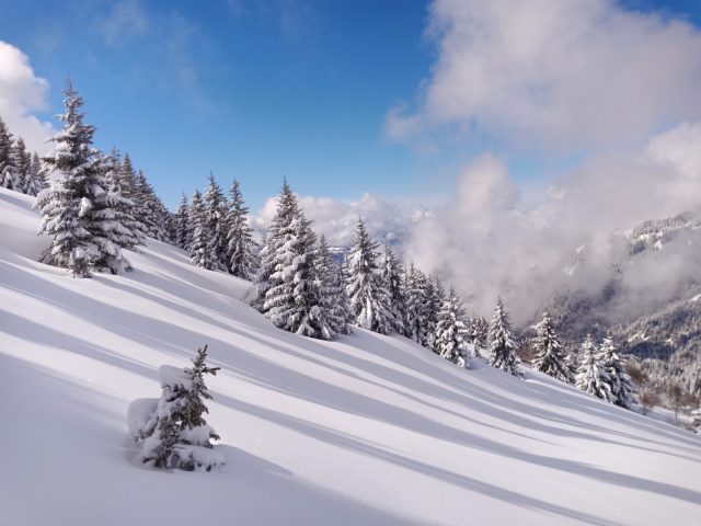 Begeleide sneeuwschoenwandelingen: panoramische uitzichten en bergverhalen_Sixt-Fer-à-Cheval