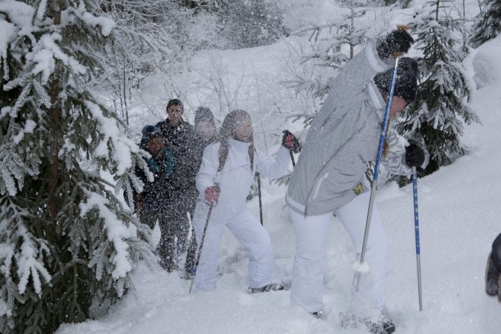 Begeleide sneeuwschoenwandelingen: Wilde dieren in het bos observeren_Taninges