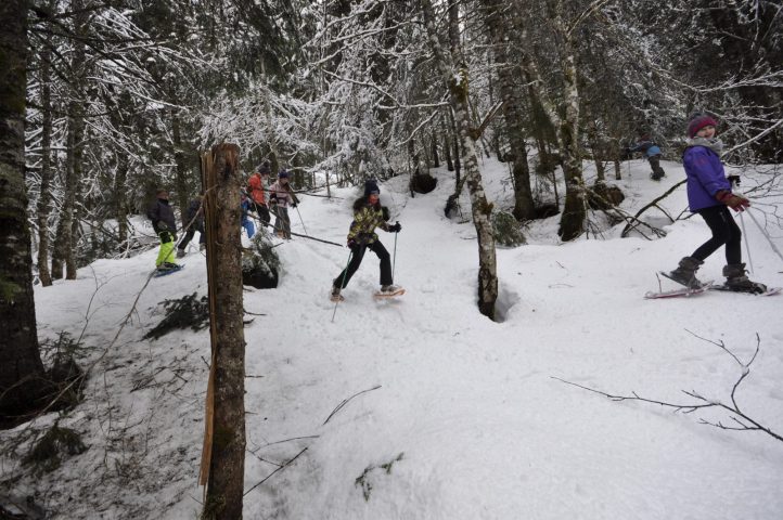 Begeleide sneeuwschoenwandelingen: Wilde dieren in het bos observeren_Taninges