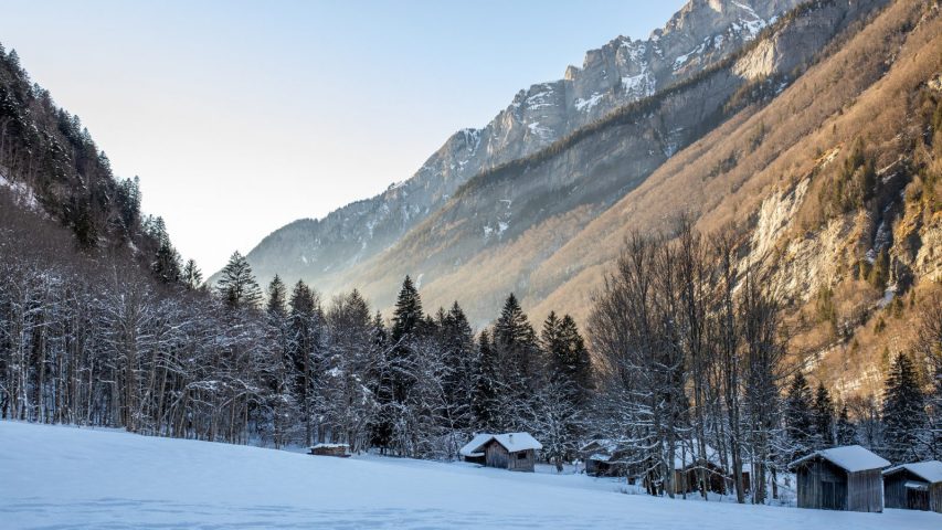 Sneeuwschoenwandeling: Observatie van steenbokken en natuurreservaat_Sixt-Fer-à-Cheval