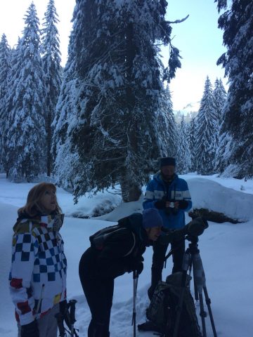Begeleide sneeuwschoenwandelingen: leven in de bergen_Sixt-Fer-à-Cheval