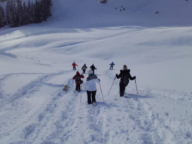 Begeleide sneeuwschoenwandelingen: leven in de bergen_Sixt-Fer-à-Cheval