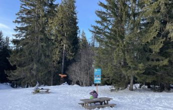 Aire de pique-nique sur Marvel