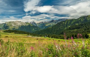 Wandelroute: bergwandelingen, met de kabelbaan, naar Samoëns 1600