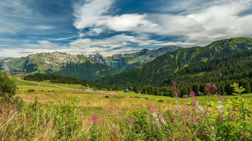 Wandelroute: bergwandelingen, met de kabelbaan, naar Samoëns 1600_Samoëns