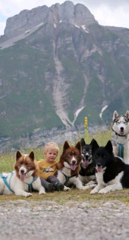 Workshop met sledehonden_Morillon