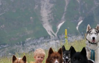 Workshop voor kinderen van 3 tot 6 jaar met onze sledehonden
