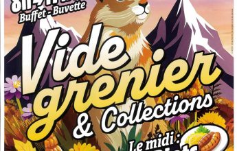 Vide Grenier & Collections